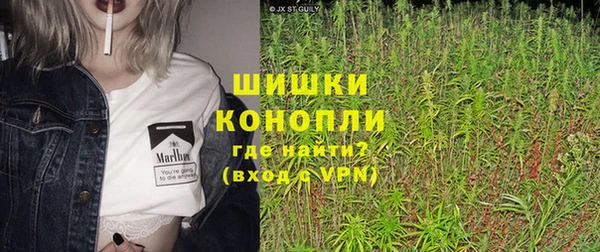 шишки Ладушкин