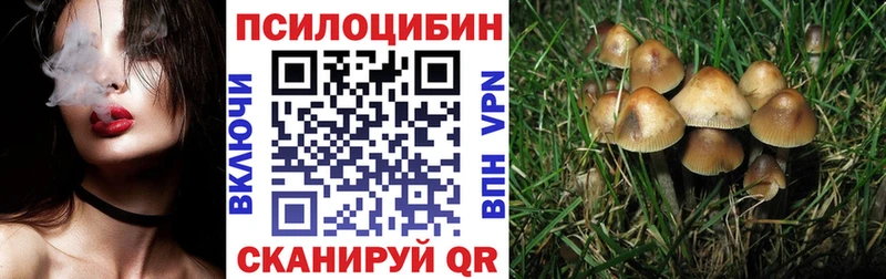 Псилоцибиновые грибы MAGIC MUSHROOMS  Купить где  Нестеровская 